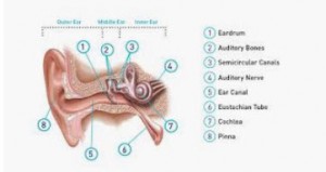 hearing loss singapore
