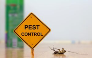 pests control singapore