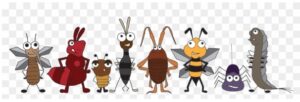 pest control in Singapore
